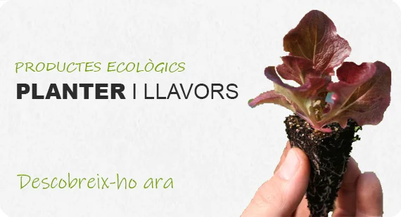 Planter i llavors