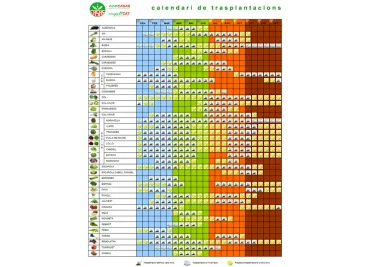 Quan hem de plantar?