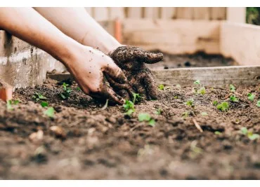 Hort urbà amb taules de cultiu